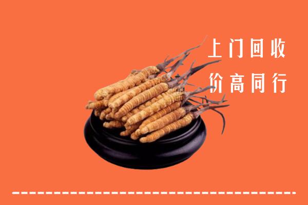 附近收购：泸州古蔺冬虫夏草回收多少钱每克