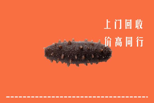 泸州古蔺回收海参