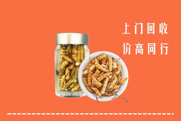 泸州古蔺回收冬虫夏草